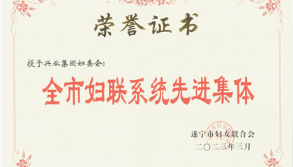 喜報(bào)！興業(yè)集團(tuán)婦委會(huì)榮獲“全市婦聯(lián)系統(tǒng)先進(jìn)集體”榮譽(yù)稱(chēng)號(hào)